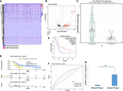 Frontiers The Role Of Long Noncoding Rna Al In The